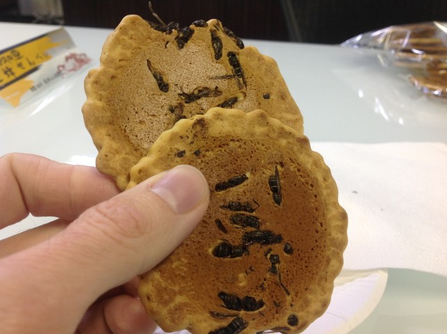 Japanese wasp-filled crackers: Their sting is far worse than a bite